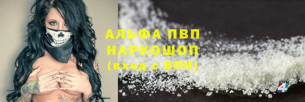 стаф Белокуриха