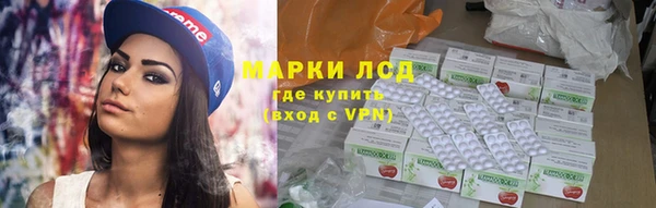 стаф Белокуриха