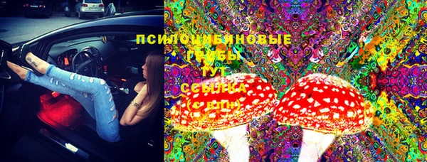 стаф Белокуриха